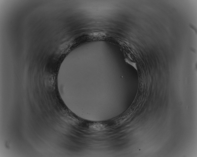 X0000091540759200709071104