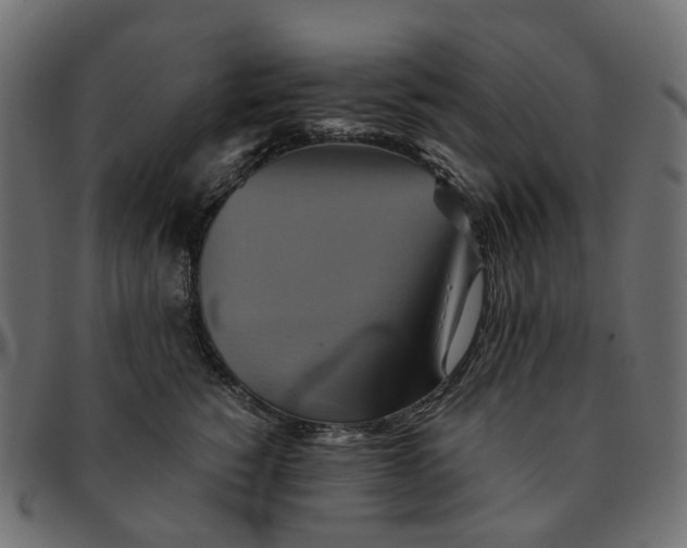 X0000091540760200709071104