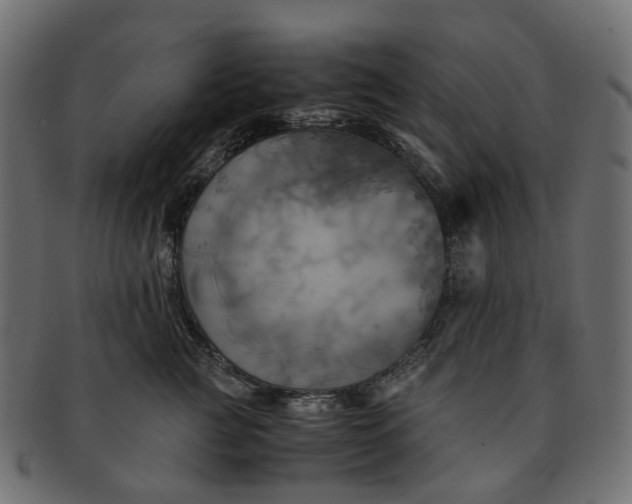 X0000091540761200709071104