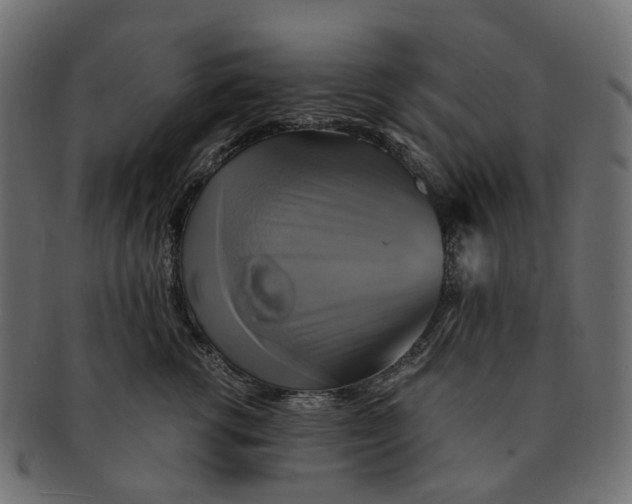 X0000091540762200709071104