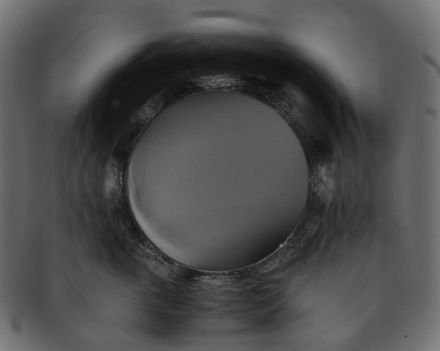 X0000091540763200709071104