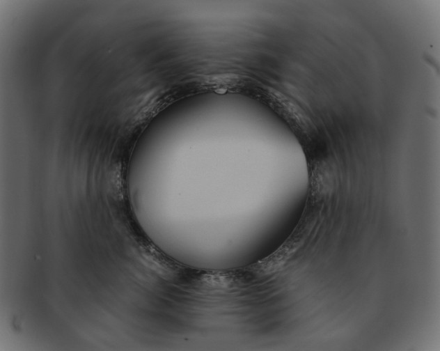 X0000091540764200709071104