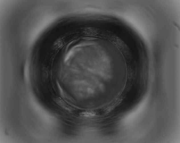 X0000091540765200709071104