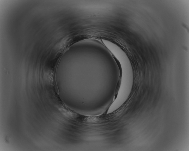 X0000091540766200709071104