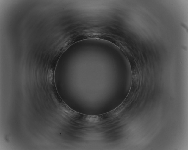 X0000091540767200709071104