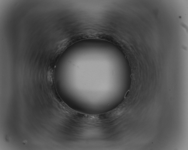 X0000091540768200709071104