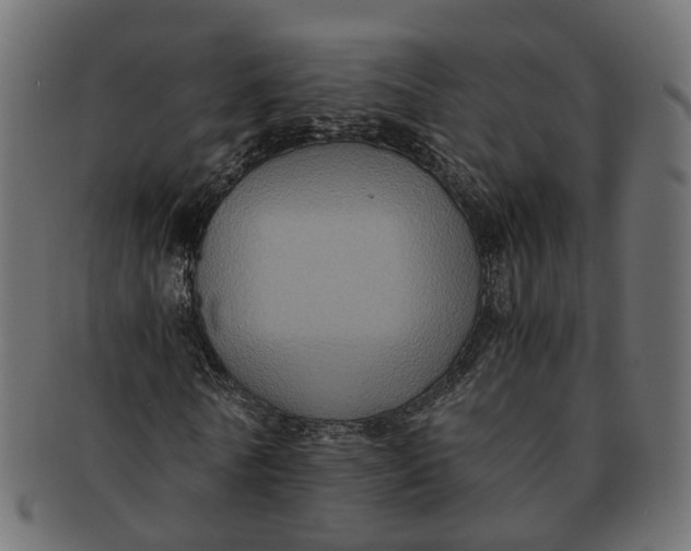 X0000091540770200709071103