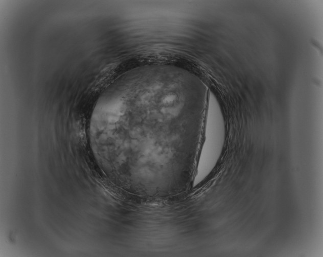 X0000091540771200709071103