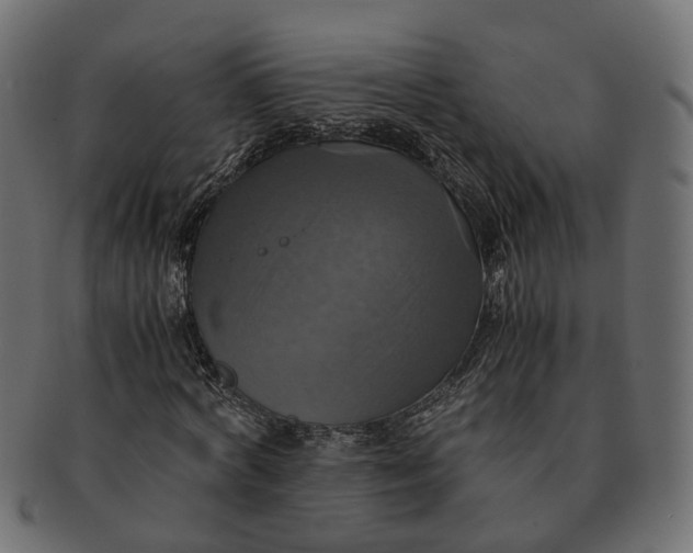 X0000091540772200709071103