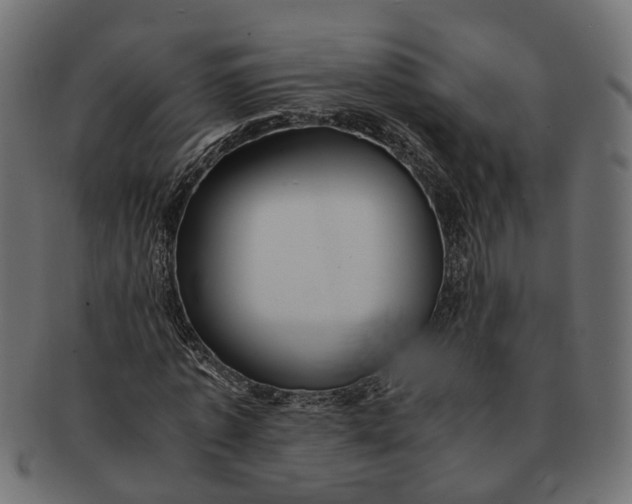 X0000091540773200709071103