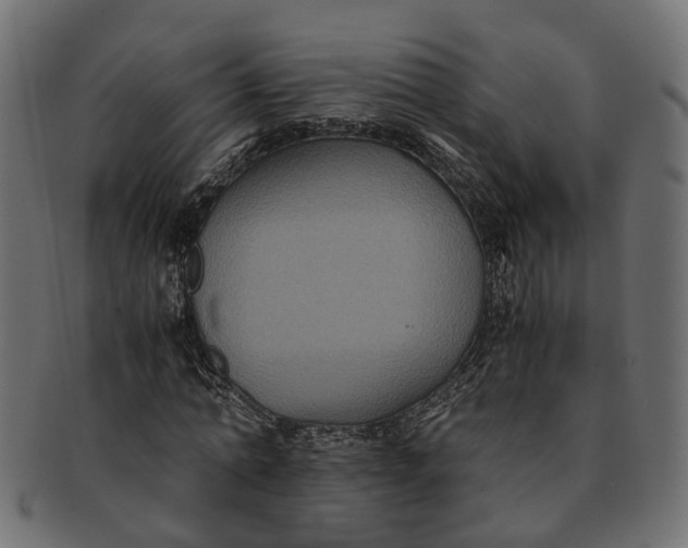 X0000091540774200709071103