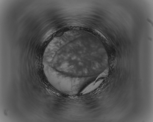 X0000091540775200709071103