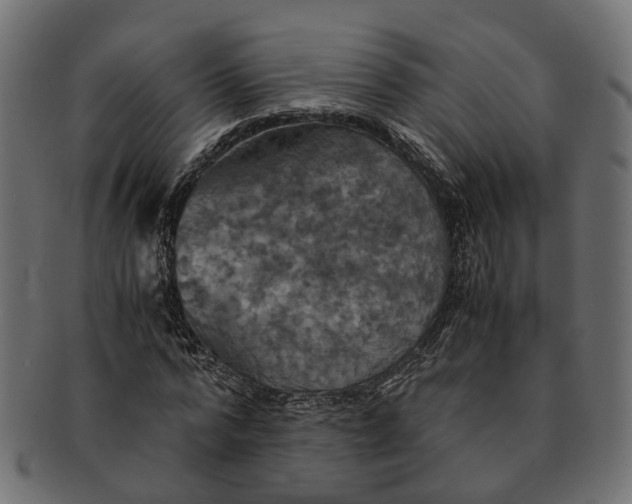 X0000091540776200709071103