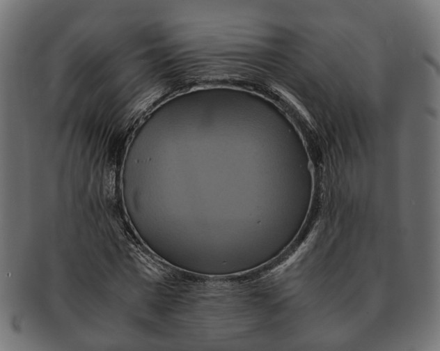 X0000091540777200709071103