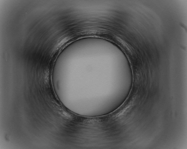 X0000091540778200709071103