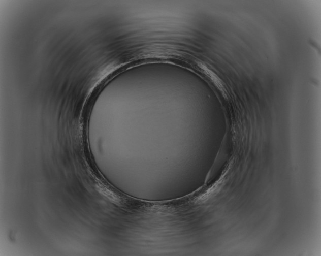 X0000091540779200709071103