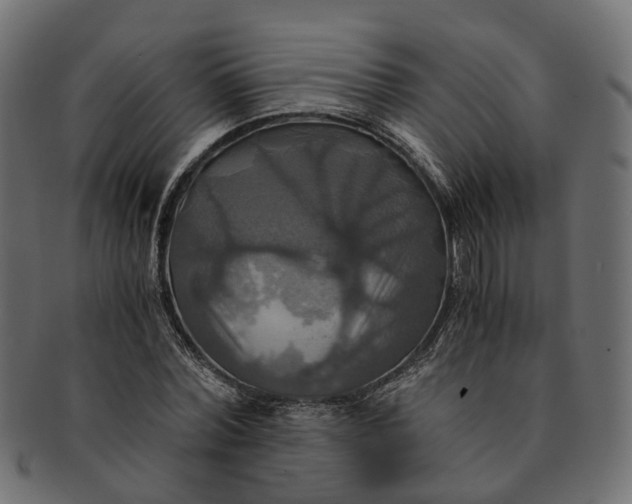 X0000091540780200709071103