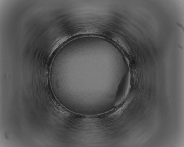 X0000091540781200709071103