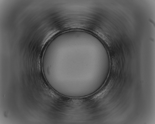 X0000091540782200709071103