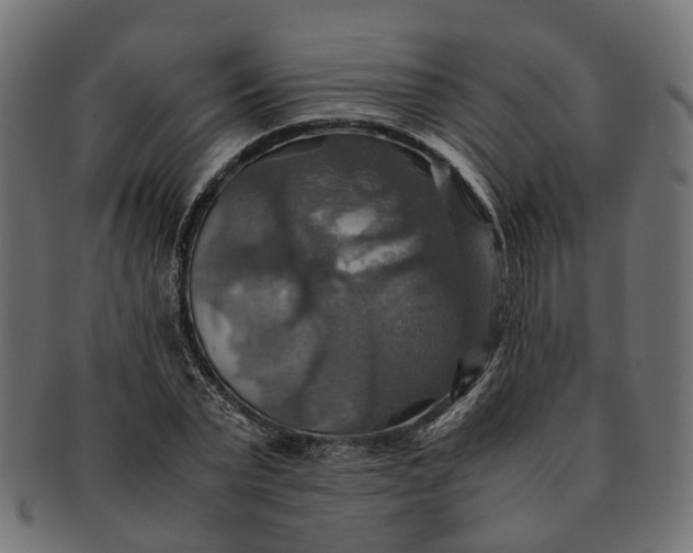 X0000091540783200709071103