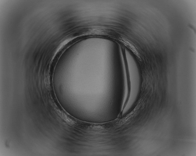 X0000091540784200709071103