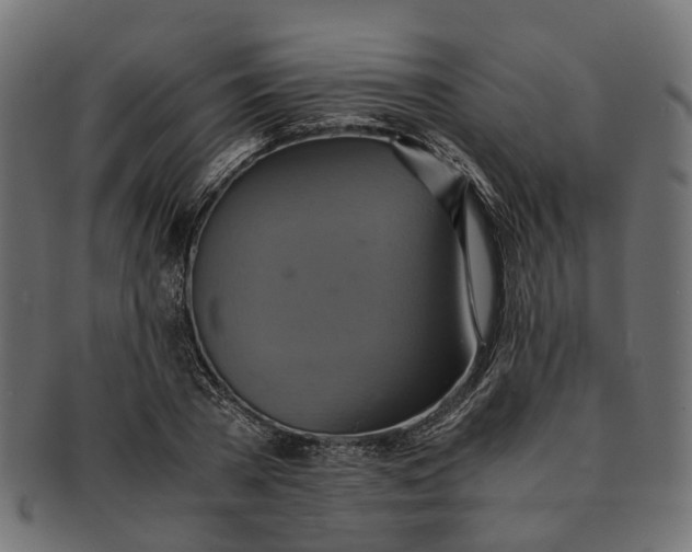 X0000091540785200709071103