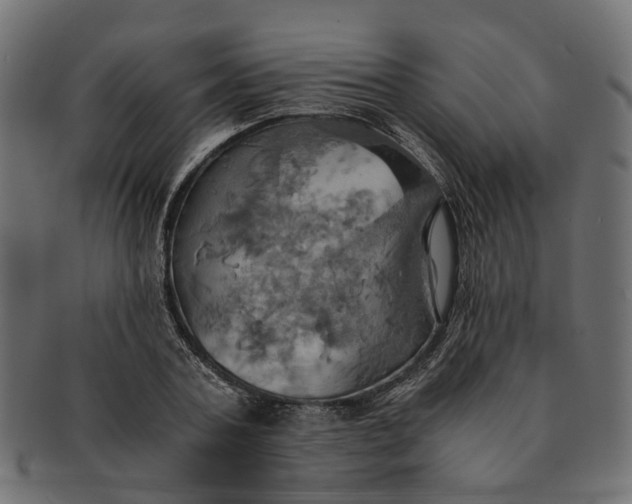 X0000091540787200709071103