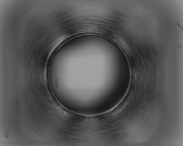 X0000091540788200709071103