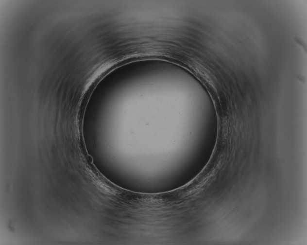 X0000091540789200709071103