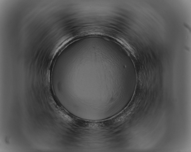 X0000091540790200709071103