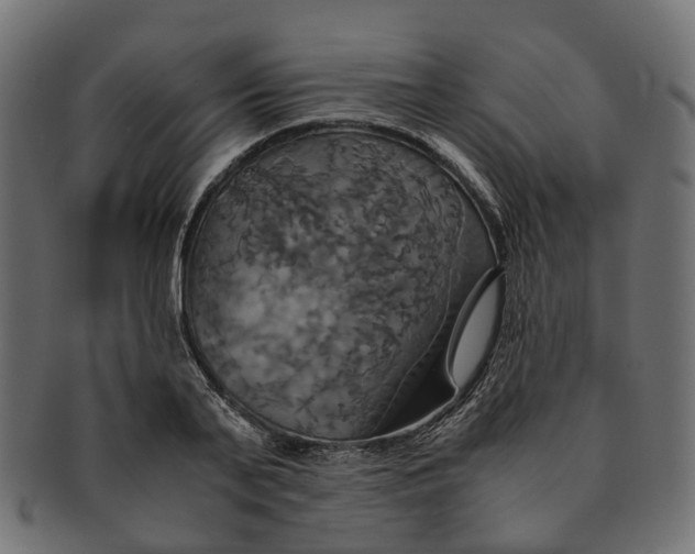 X0000091540791200709071103