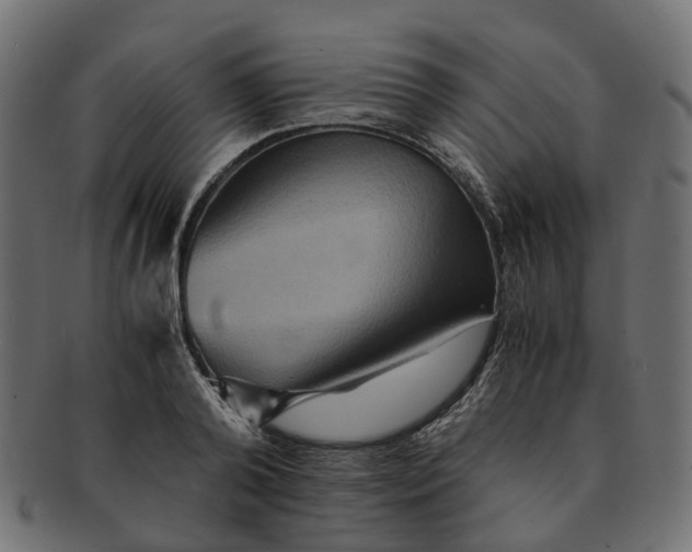 X0000091540792200709071103