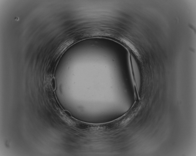 X0000091540793200709071103