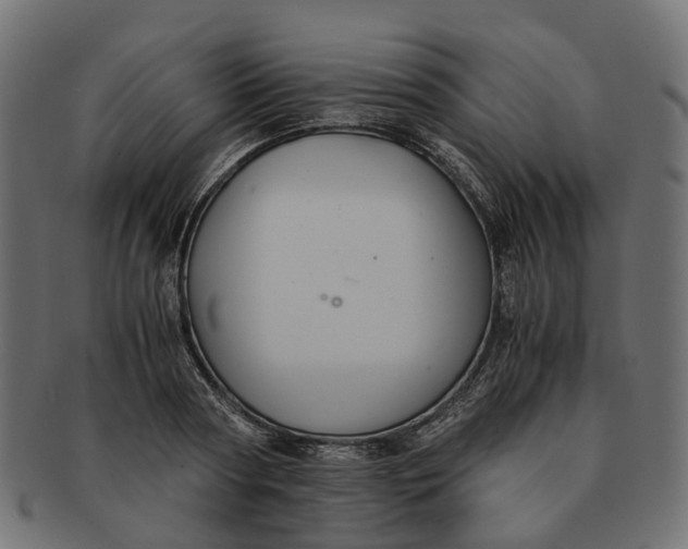 X0000091540794200709071103