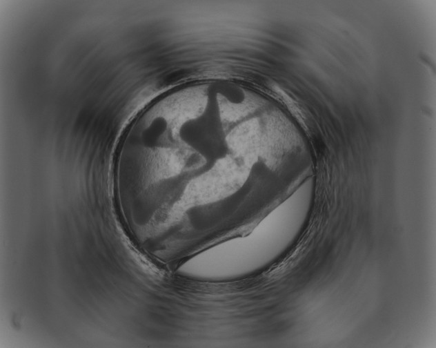 X0000091540795200709071103