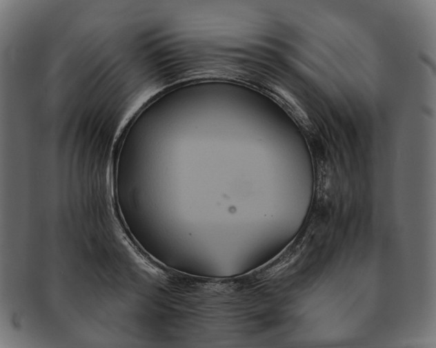 X0000091540796200709071103