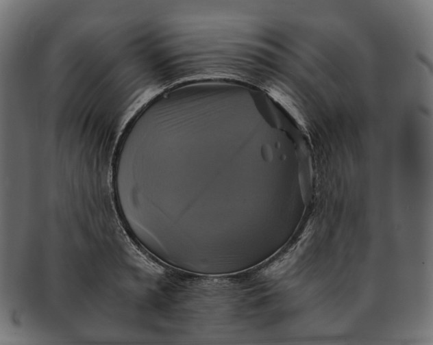 X0000091540797200709071103