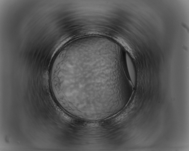 X0000091540798200709071103