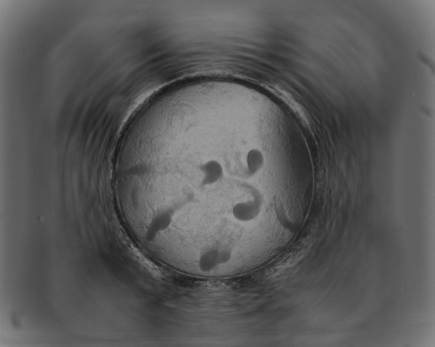 X0000091540799200709071103