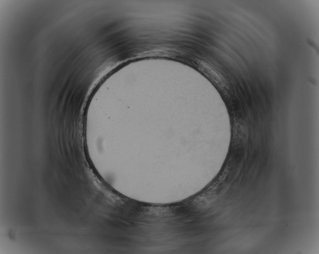 X0000091540800200709071103