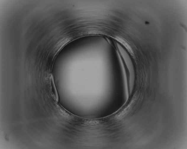 X0000091540801200709071103