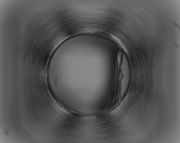 X0000091540802200709071103