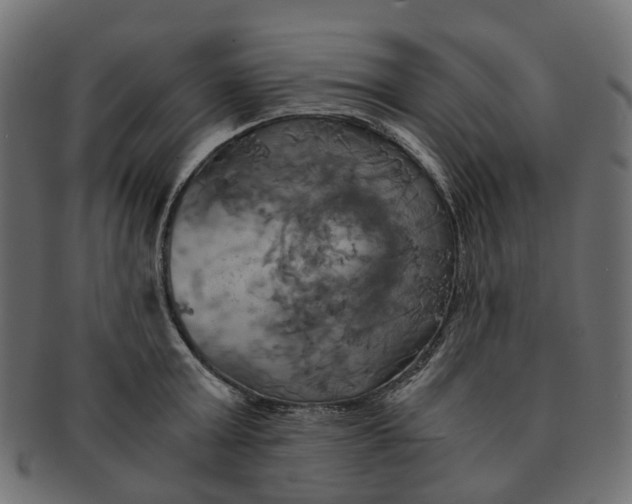 X0000091540803200709071103