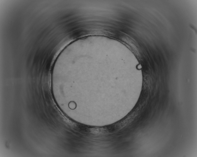 X0000091540804200709071103