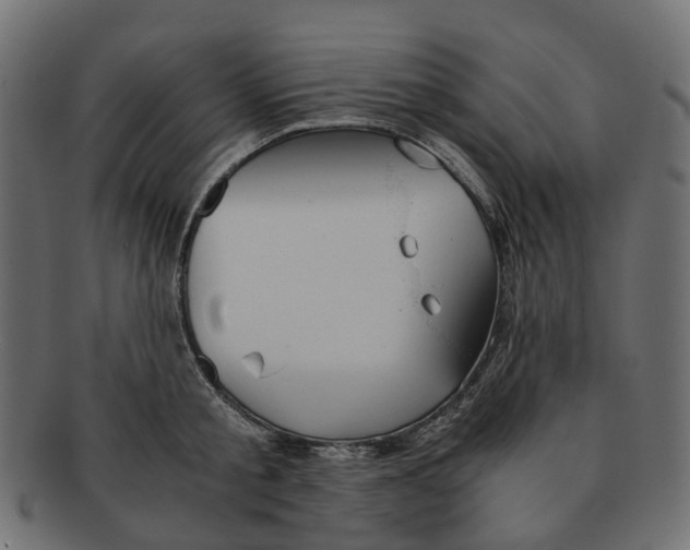 X0000091540805200709071103