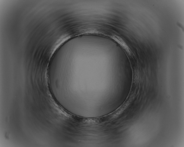 X0000091540806200709071103