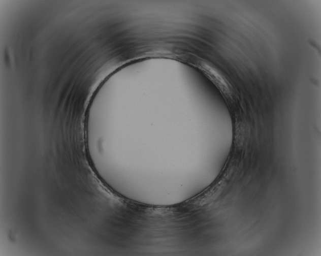 X0000091540808200709071103