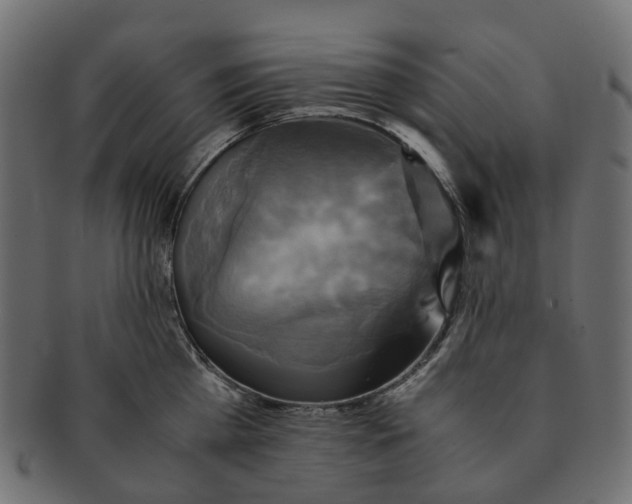 X0000091540809200709071103