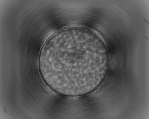 X0000091540810200709071103