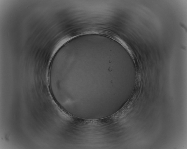 X0000091540811200709071103